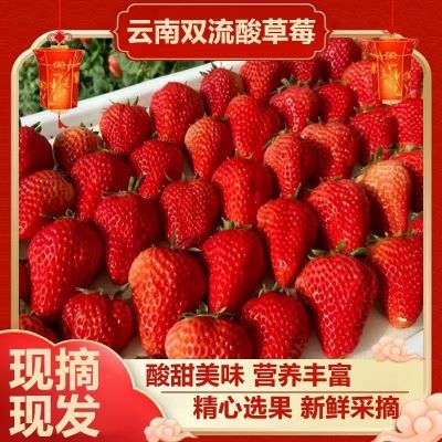 【闪电发货】四季酸草莓批发新鲜现摘烘焙奶茶草莓糖葫芦整箱