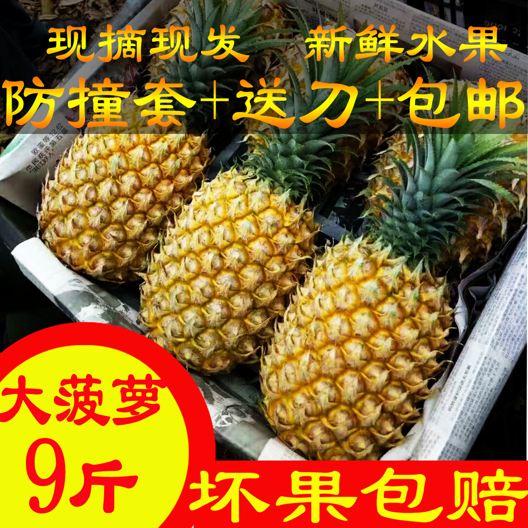 广东特产湛江徐闻曲界现摘现发大菠萝8斤 新鲜水果凤梨9-10斤包邮