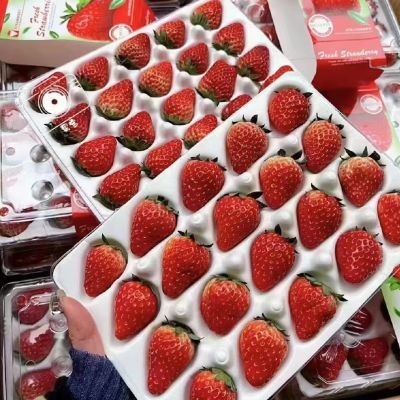 (限量抢购)盒装夏季草莓和新鲜上市烘焙冰糖葫芦蛋糕商用新鲜采摘