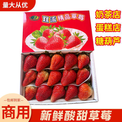 四季云南盒装当季草莓新鲜商用批发草莓酱烘焙糖葫芦大果红颜孕妇