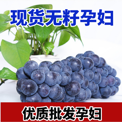 【特价】新鲜夏黑无籽优质葡萄非黑加仑孕妇应季水果水果批发包邮