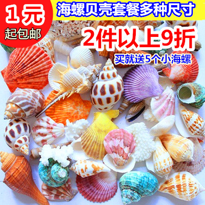 特价天然海螺贝壳风铃材料包鱼缸地台地中海家居装饰幼儿园手工