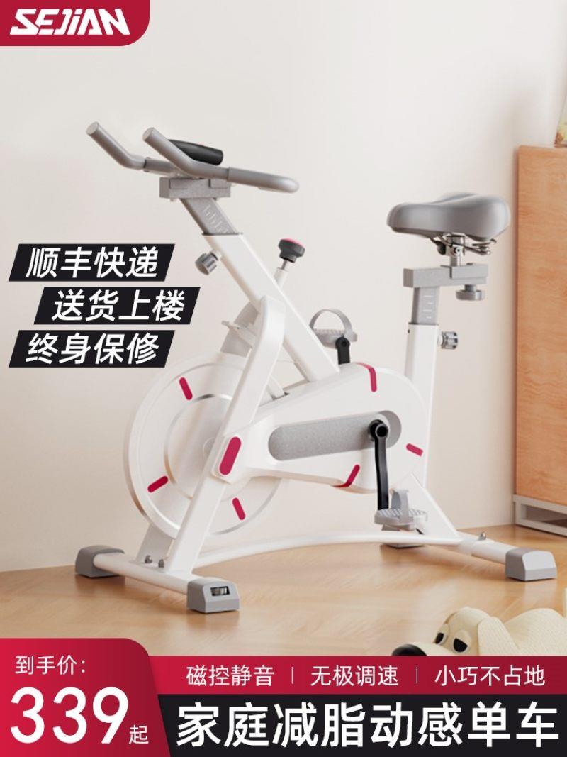 动感单车家用可折叠磁控健身车室内脚踏自行车小型静音运动踏步机