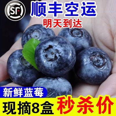 【顺丰空运】蓝莓新鲜水果现摘大果孕妇宝宝辅食一整箱应季批发