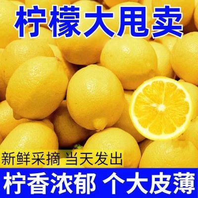 【新客立减】安岳黄柠檬鲜果薄皮水果新鲜应季水果泡水多汁奶茶店