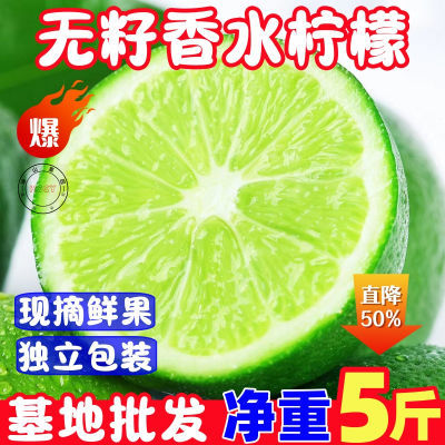 【新店半价】新鲜海南香水柠檬无籽小个青柠檬鲜果水果奶茶店专用