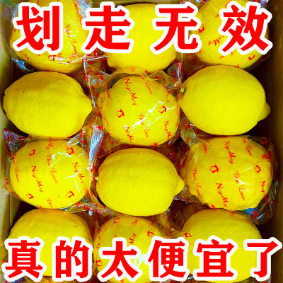 【大降价】正宗安岳黄柠檬薄皮批发奶茶店专用应季水果鲜柠檬鲜果