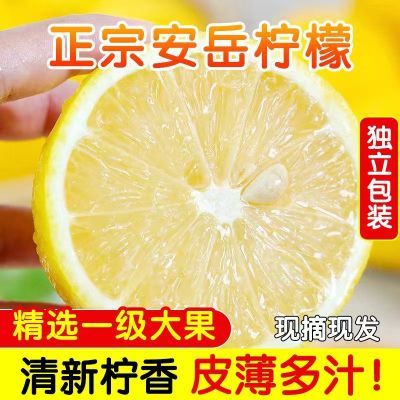 【志果果】柠檬鲜果当季水果新鲜柠檬3/5斤鲜柠檬批发皮薄多汁
