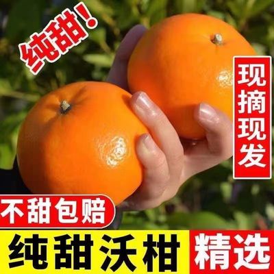 【正宗】爆甜沃柑超甜新鲜多汁桔子当季水果孕妇橘子现货批发武鸣