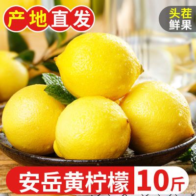 四川安岳黄柠檬新鲜水果皮薄一级黄青柠檬奶茶店专用果当季批发价