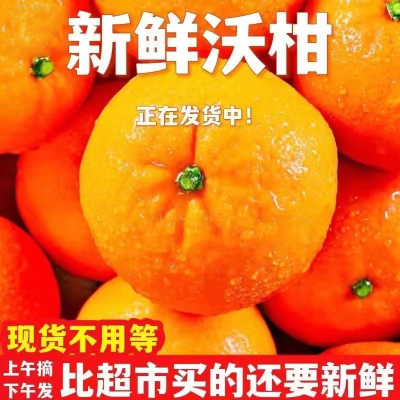 云南宾川沃柑5斤(带箱)爆甜花斑中大果柑橘薄皮多汁现采现发