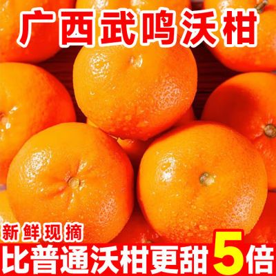 【精品】正宗广西武鸣沃柑当季新鲜水果清香甜多汁皮薄整箱批发价