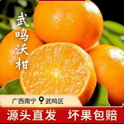 广西武鸣沃柑高山种植新鲜水果应季香甜爆汁包邮整箱正宗
