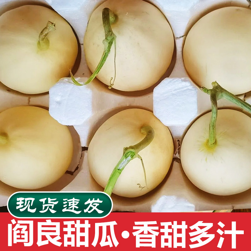 阎良甜瓜头茬陕西新鲜当季水果整箱10小蜜瓜斤白皮郁金香孕妇香瓜