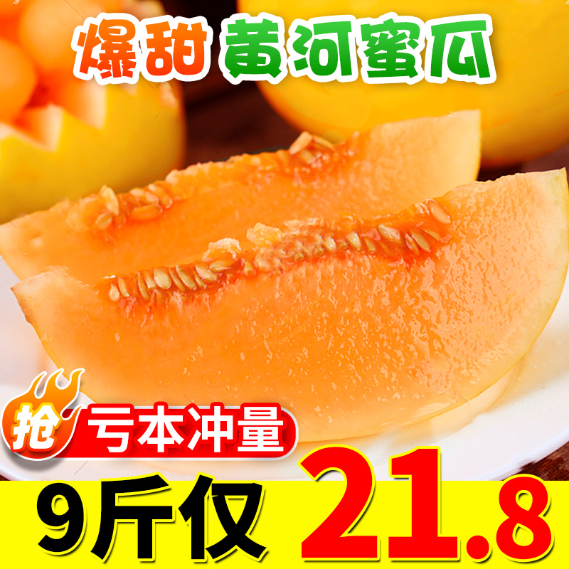 陕西黄河蜜甜瓜9斤新鲜水果整箱红金宝沙漠小香瓜当季脆哈5蜜瓜10