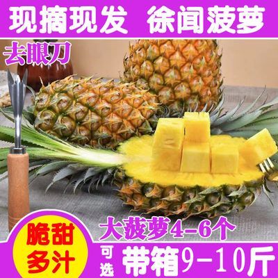 海南香水大菠萝当季新鲜大菠萝手撕菠萝孕妇水果糖心凤梨10/5/2斤